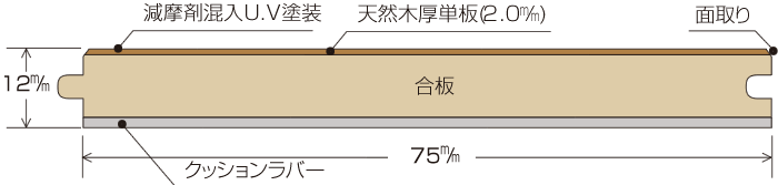 断面図