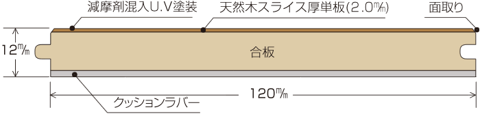 断面図