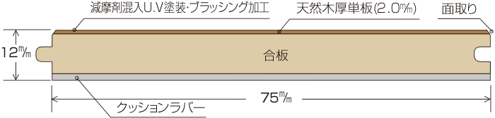 断面図