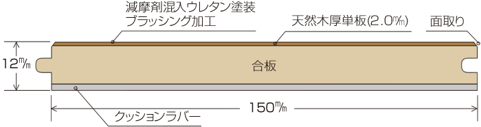 断面図
