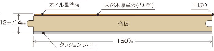断面図