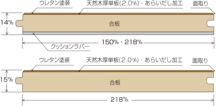 断面図