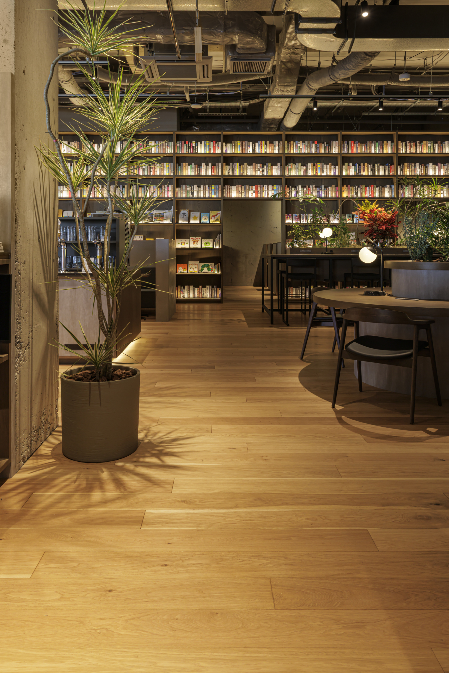 ワイルド直貼ロング OWL-9001（オーク 節あり オスモクリアー）　施工例 3