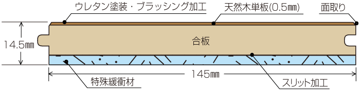 断面図