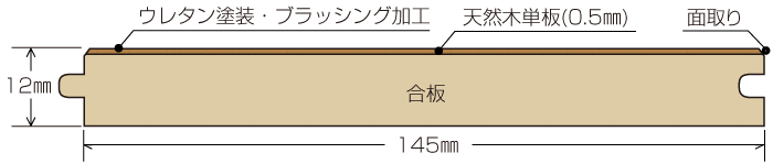 断面図