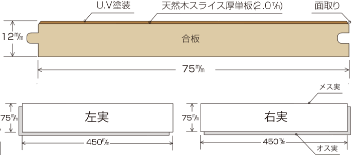 断面図