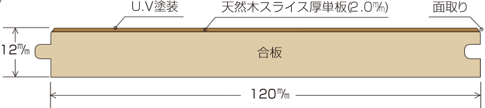 断面図