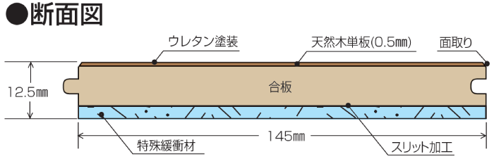 断面図