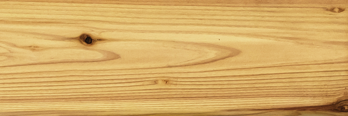 EWMC-01 （クリアー）