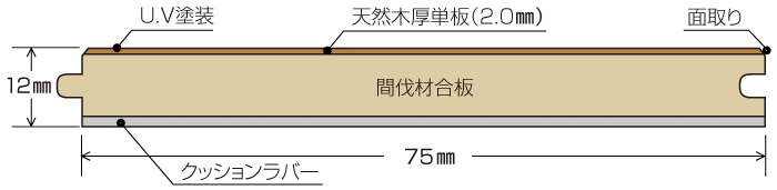 断面図