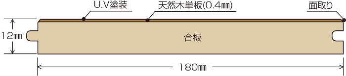 断面図