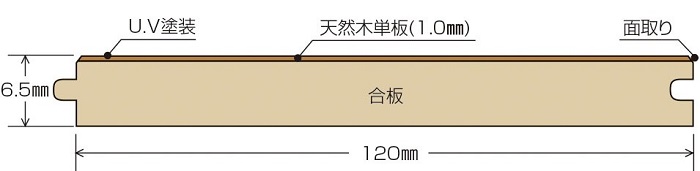 断面図