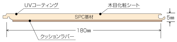 断面図
