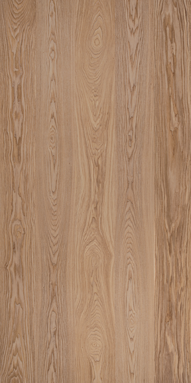 WFPL-2013（タモ）