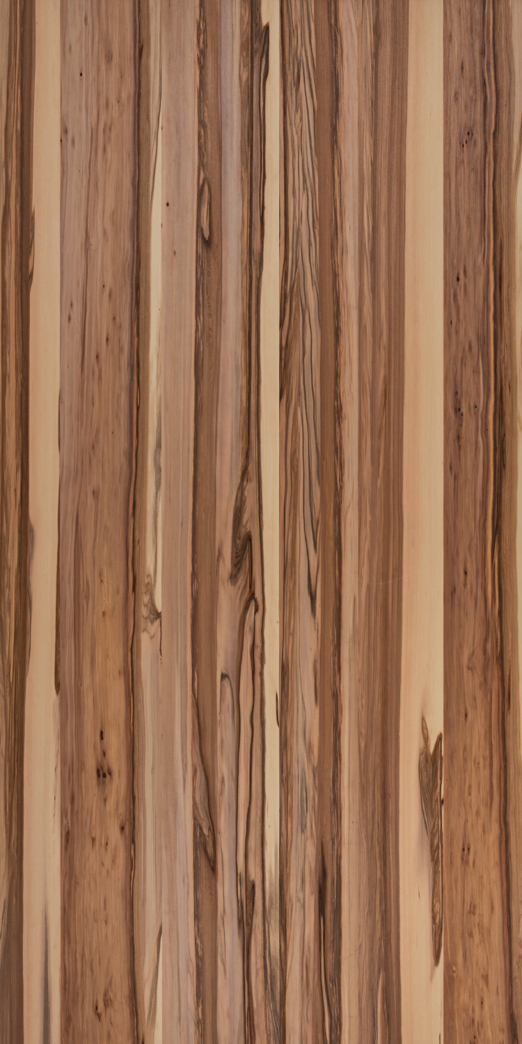 WFPL-2016（サテンウォールナット）