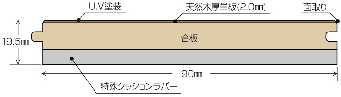 断面図