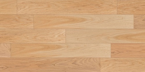 SLW-61（クルミ 節あり）