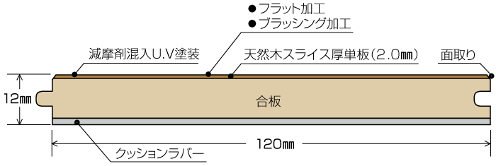 断面図